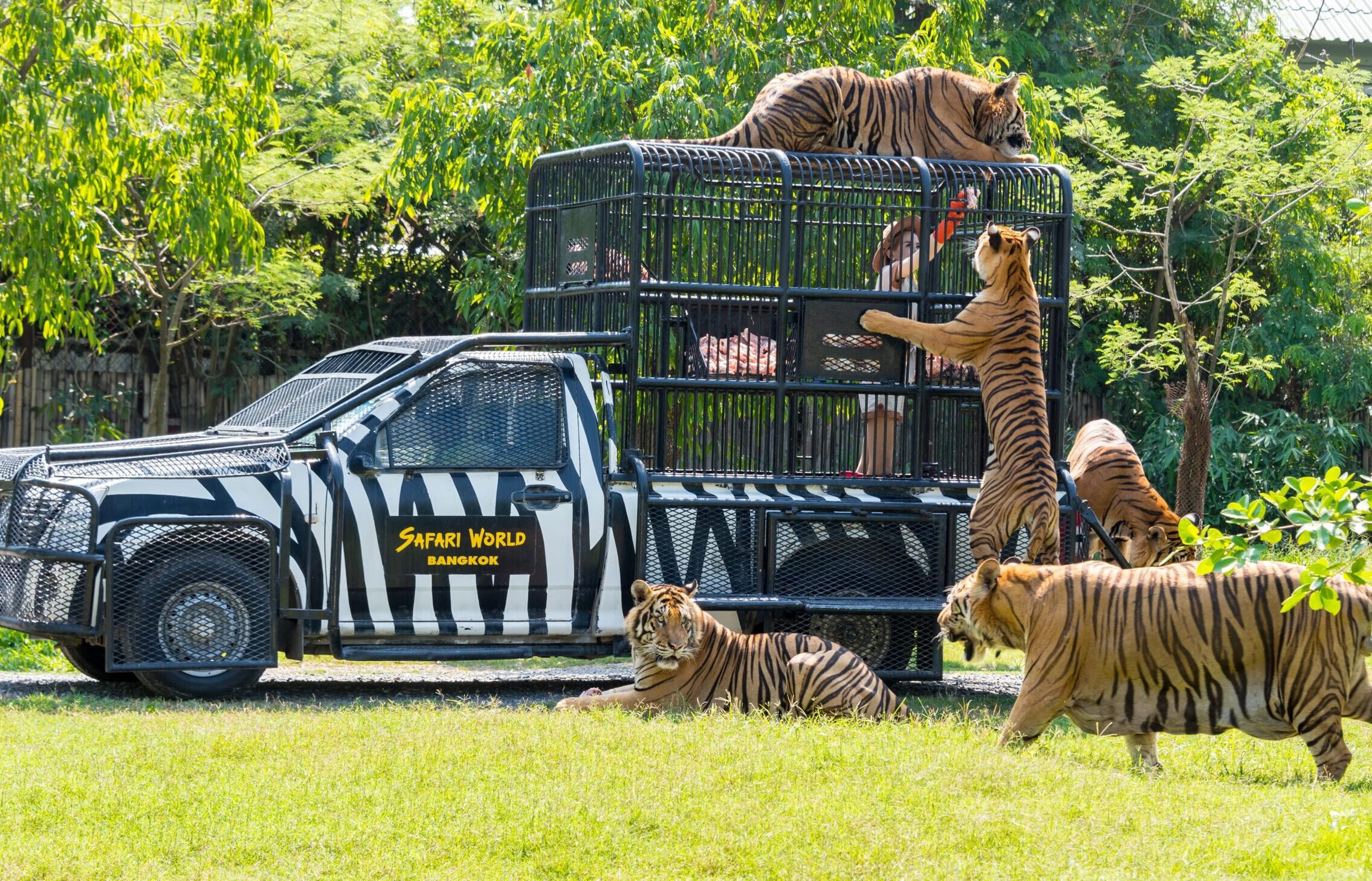 gii8zxtnibyzp1cqevhqessan58h_shu