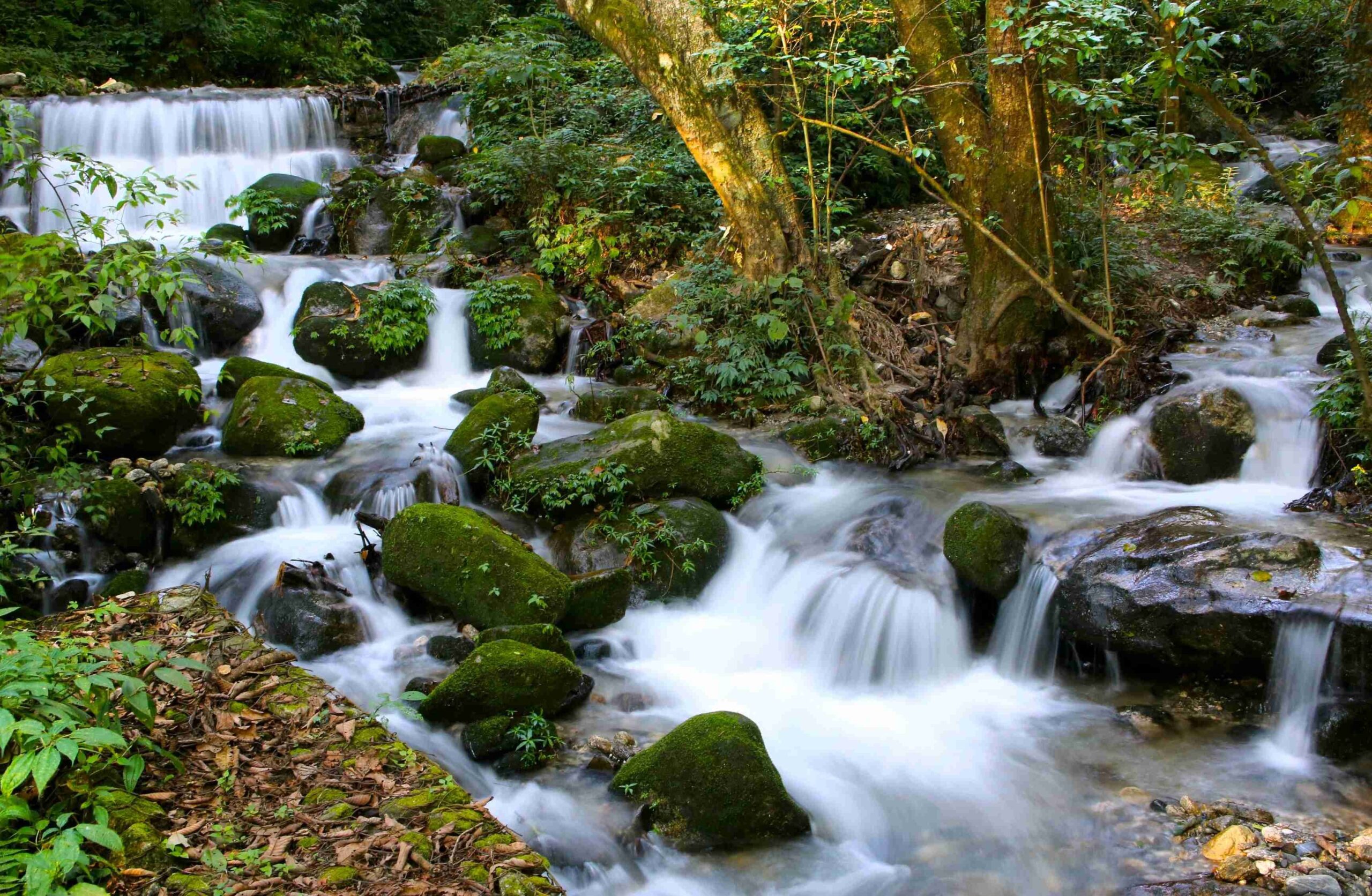 Shivapuri stream_11zon1677743608