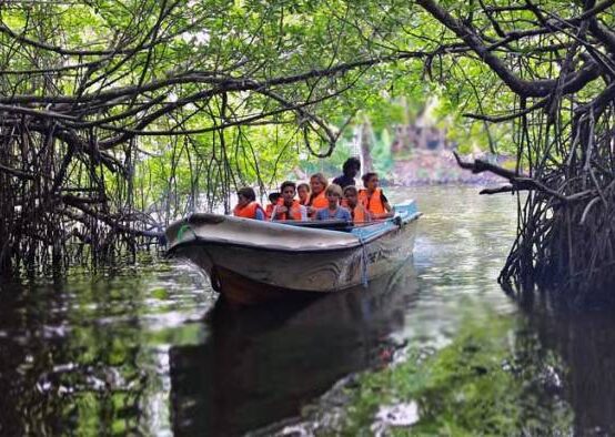 image_750x_5b8ca251ba436