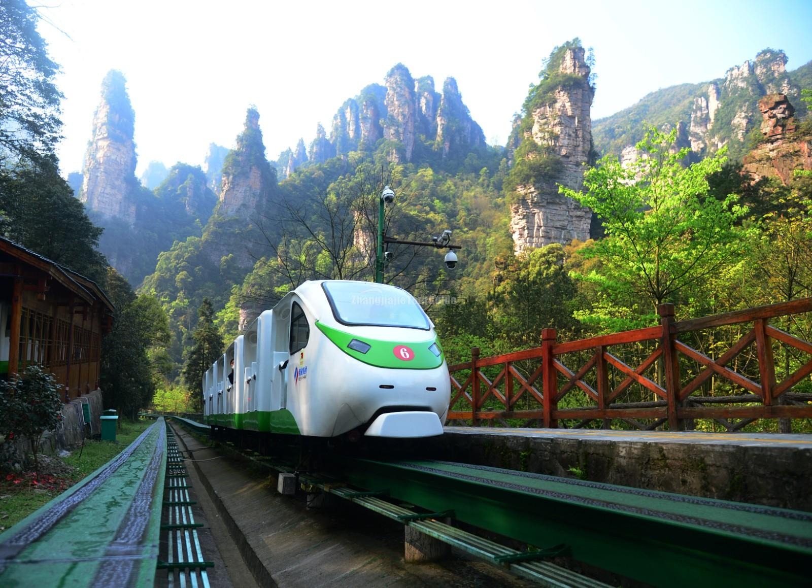 img_730_d20250215140926