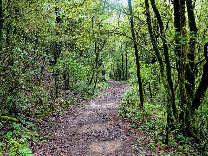 shivapuri-national-park-day-hike